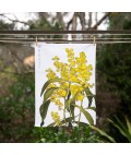 Bell Art | Australian Native Tea Towel | Wattle